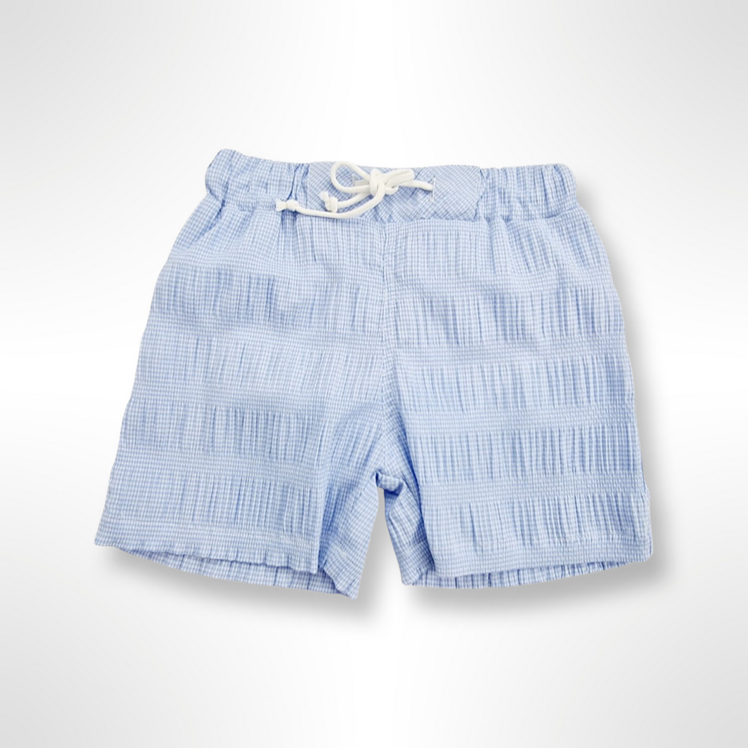 Portofino Collection - Blue and White Check Swim Shorts