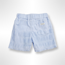 Load image into Gallery viewer, Portofino Collection - Blue and White Check Swim Shorts